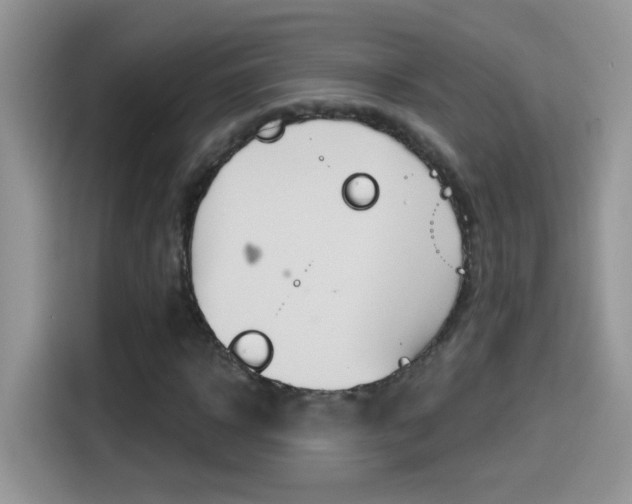 X0000114440918200910161049