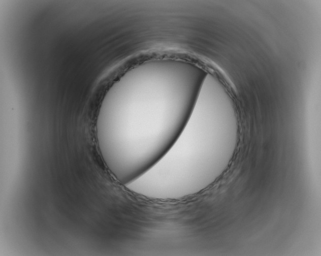 X0000114440919200910161049