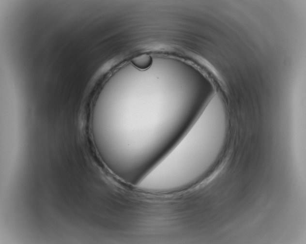 X0000114440922200910161049