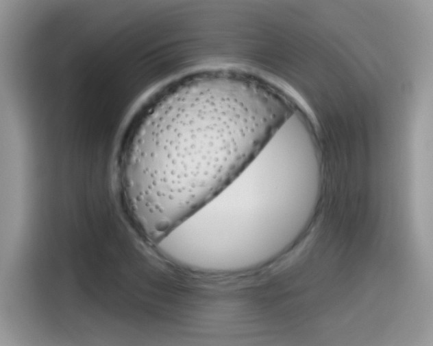 X0000114440927200910161049