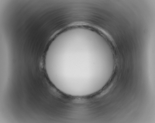 X0000114440929200910161049