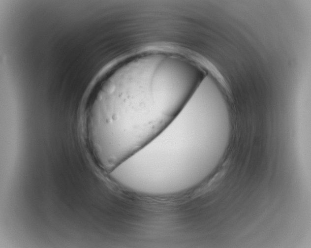 X0000114440931200910161049