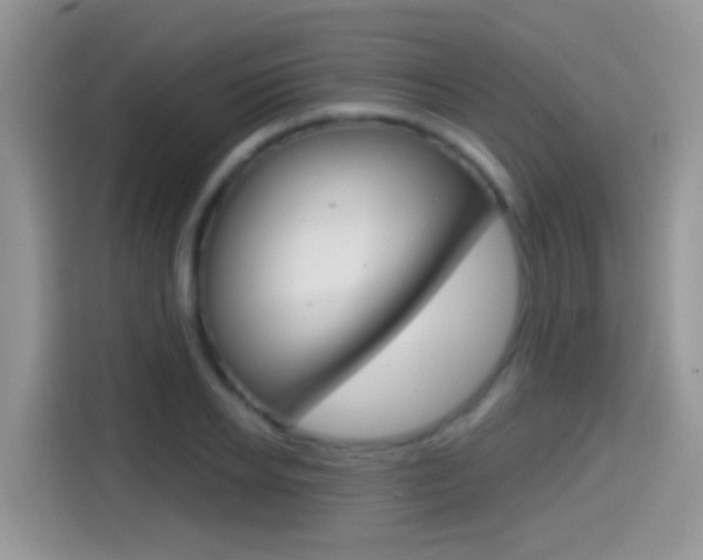 X0000114440934200910161049