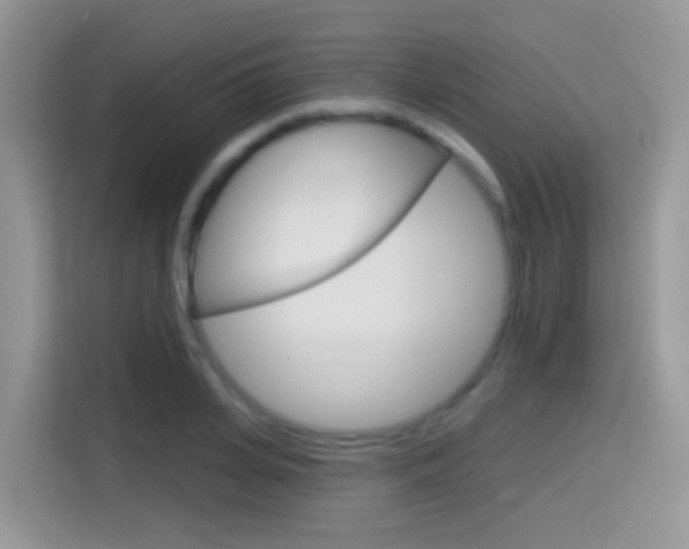 X0000114440935200910161049