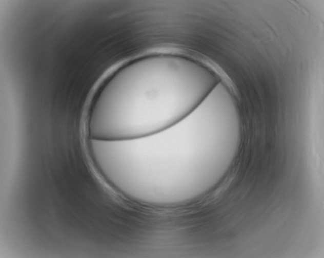 X0000114440939200910161049