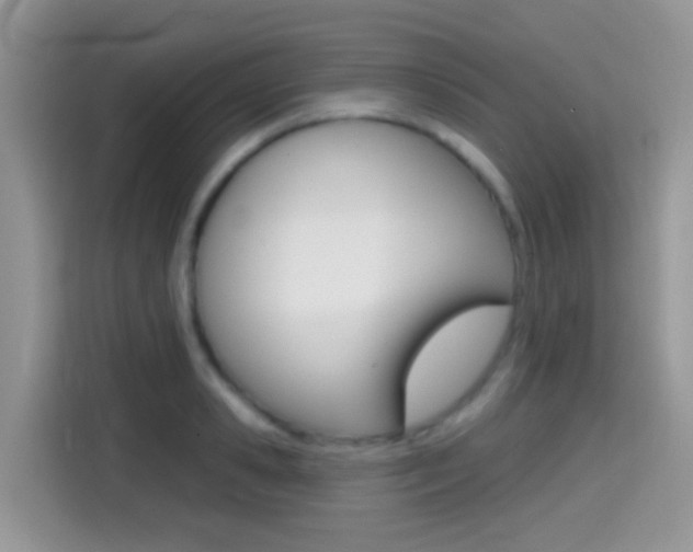 X0000114440941200910161049