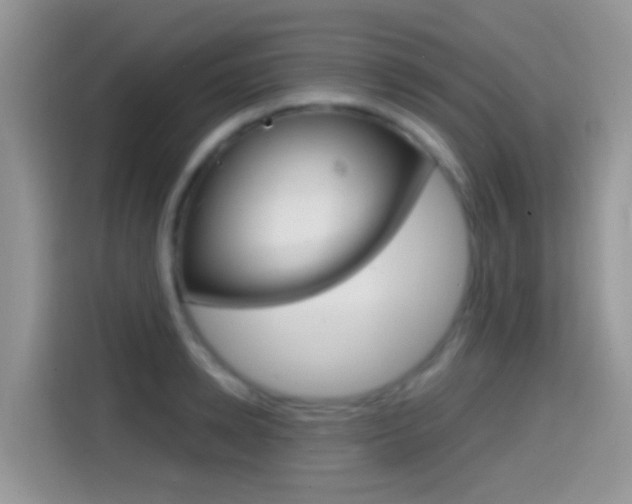 X0000114440942200910161049