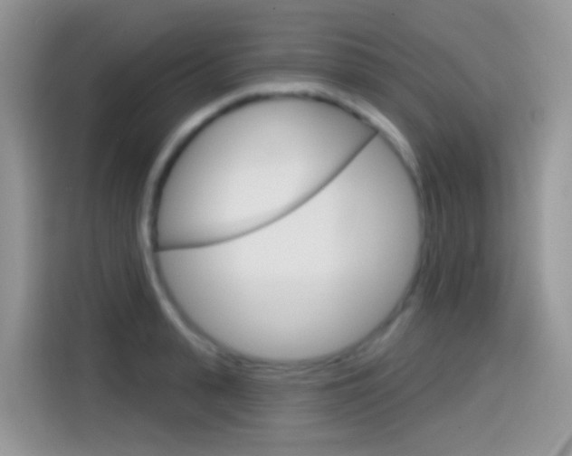 X0000114440943200910161049