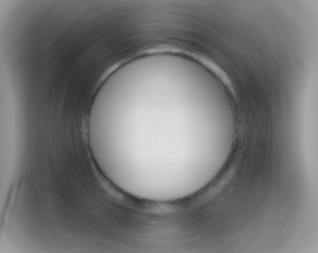 X0000114440945200910161049