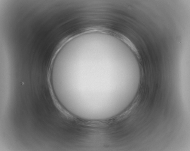 X0000114440946200910161049