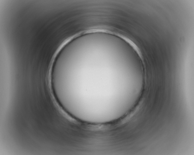 X0000114440949200910161049