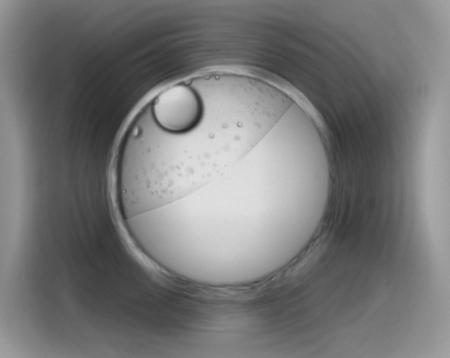 X0000114440955200910161049