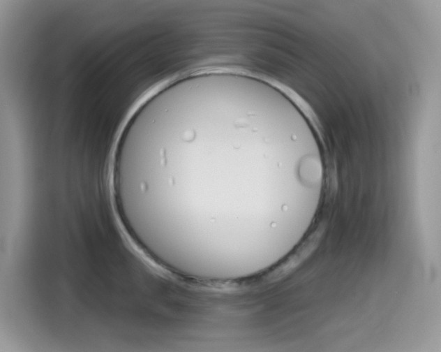 X0000114440957200910161049
