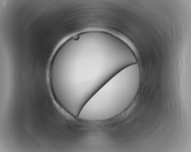 X0000114440958200910161049