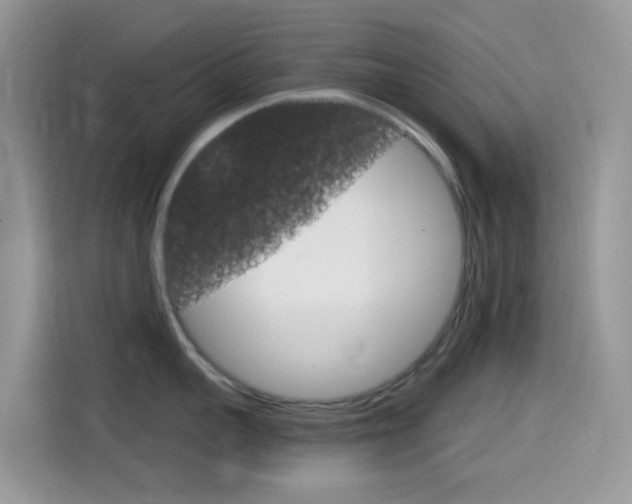 X0000114440959200910161049