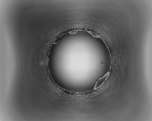 X0000114440961200910161049