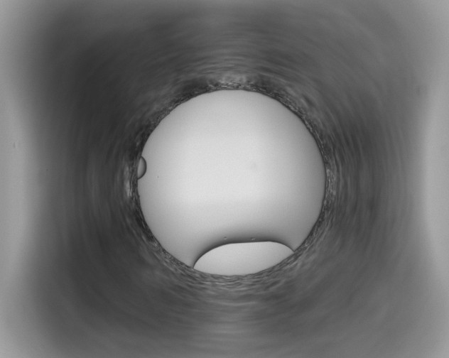 X0000114440962200910161049