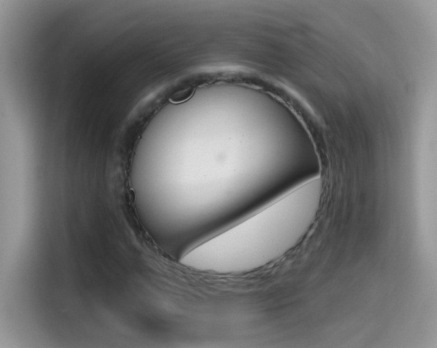 X0000114440967200910161049