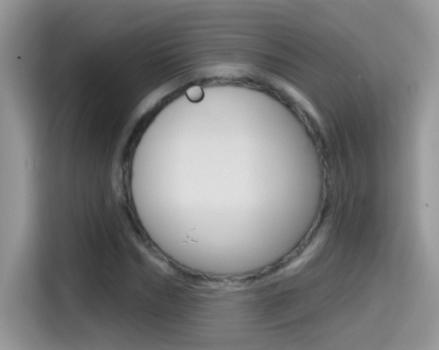 X0000114440970200910161049