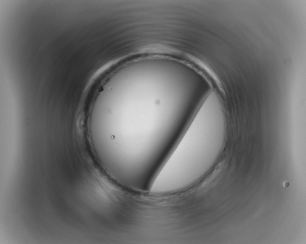 X0000114440971200910161049