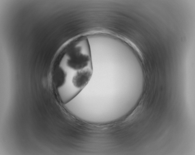X0000114440975200910161049