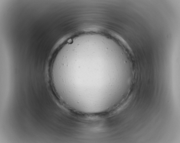 X0000114440978200910161048