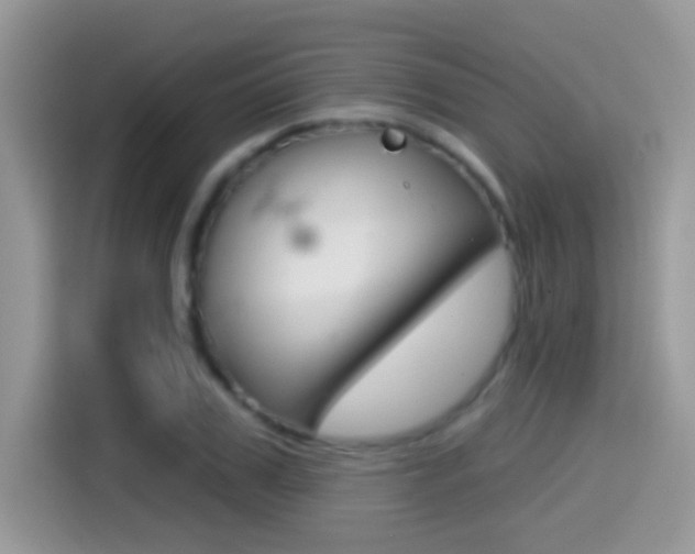 X0000114440979200910161048