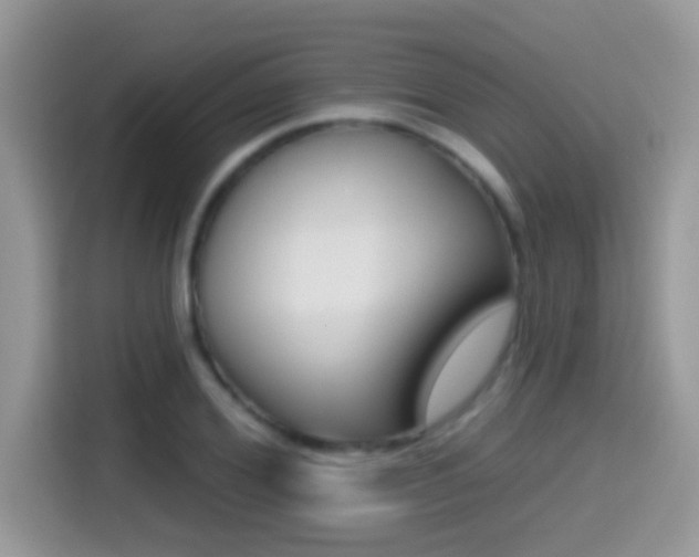 X0000114440980200910161048