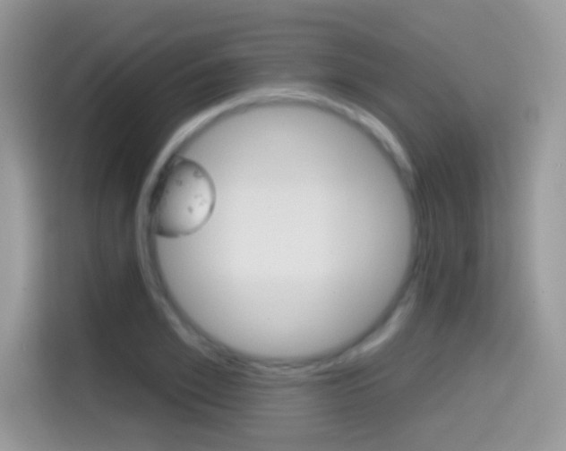X0000114440981200910161048