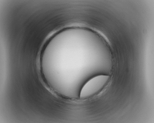 X0000114440982200910161048