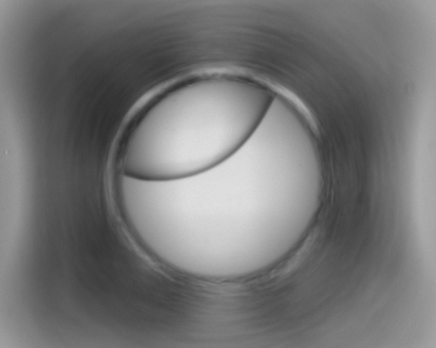 X0000114440983200910161048