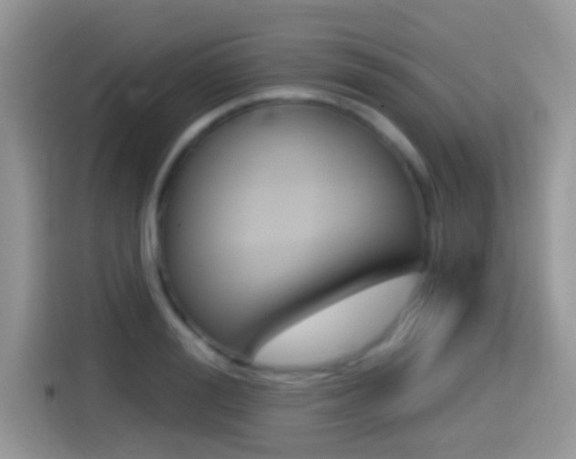 X0000114440988200910161048
