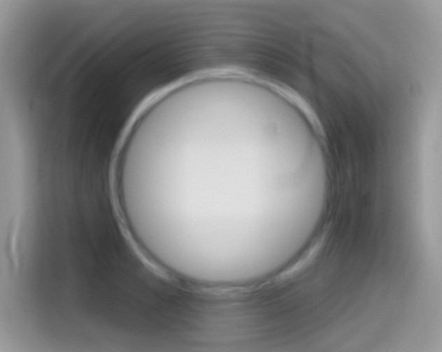 X0000114440989200910161048