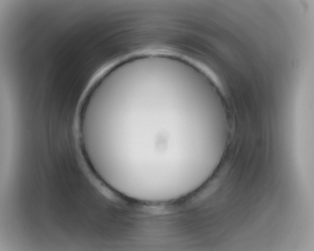 X0000114440990200910161048