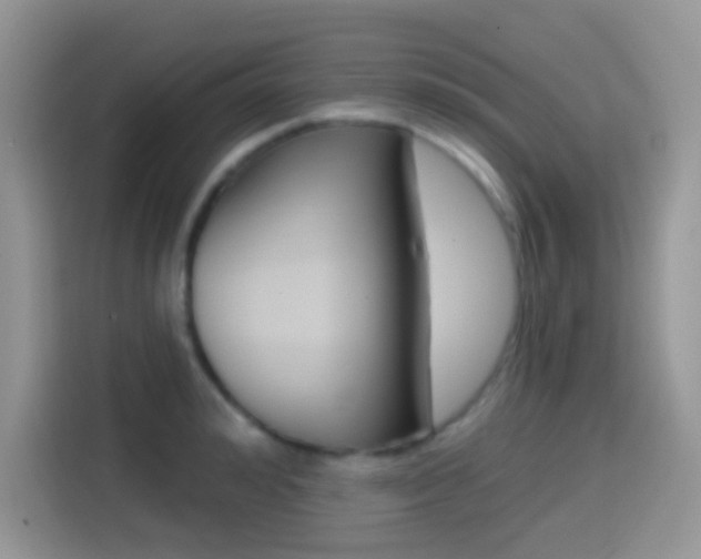 X0000114440992200910161048