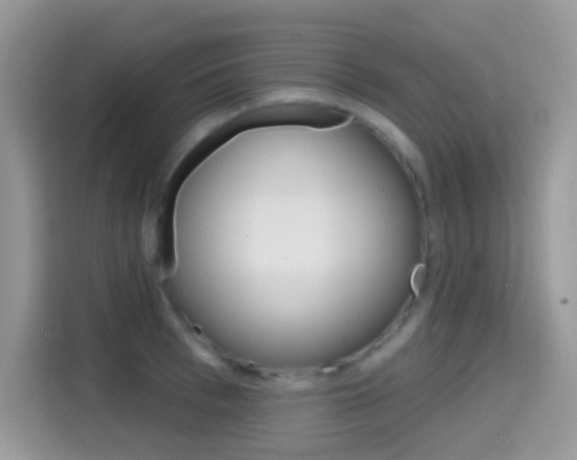 X0000114440993200910161048