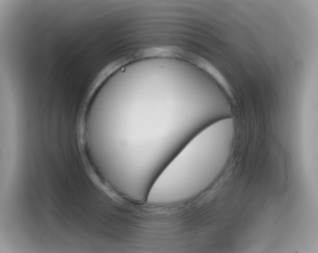 X0000114440994200910161048