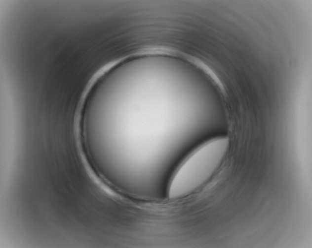 X0000114440995200910161048
