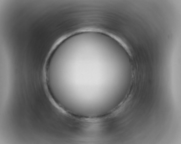 X0000114440998200910161048