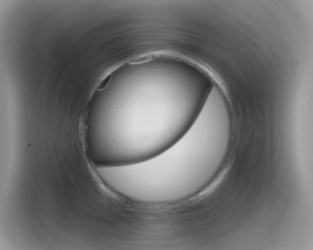 X0000114441001200910161048
