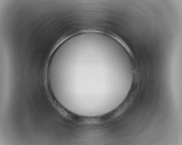 X0000114441002200910161048