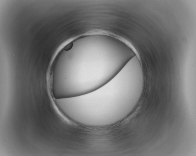 X0000114441003200910161048