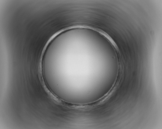 X0000114441004200910161048