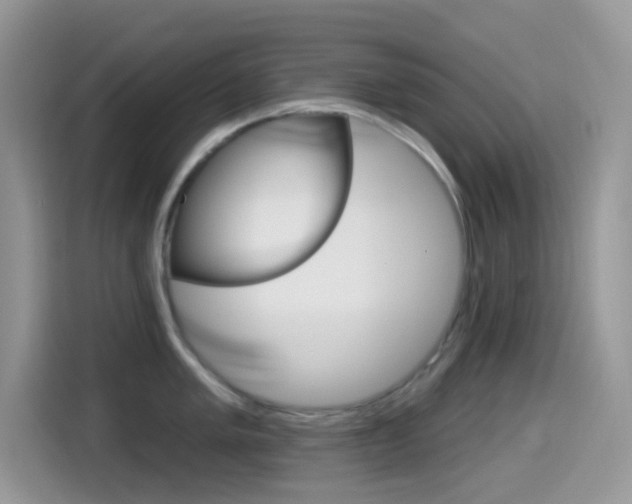 X0000114441005200910161048