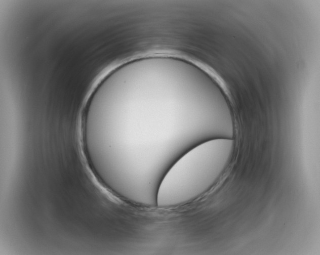 X0000114441006200910161048