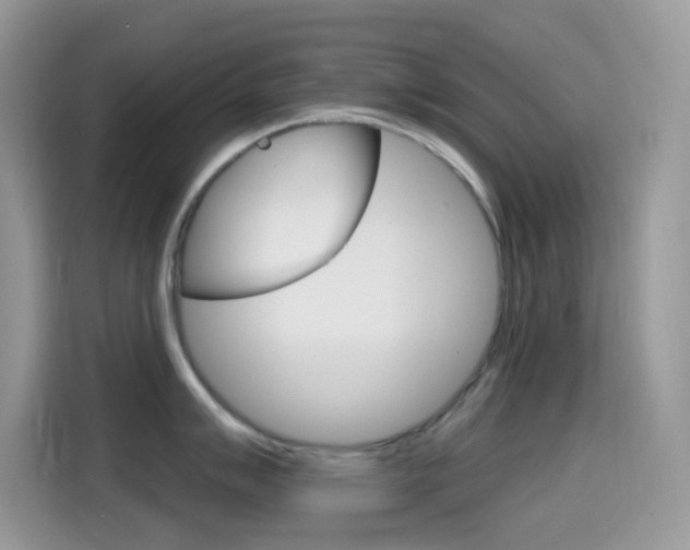X0000114441007200910161048