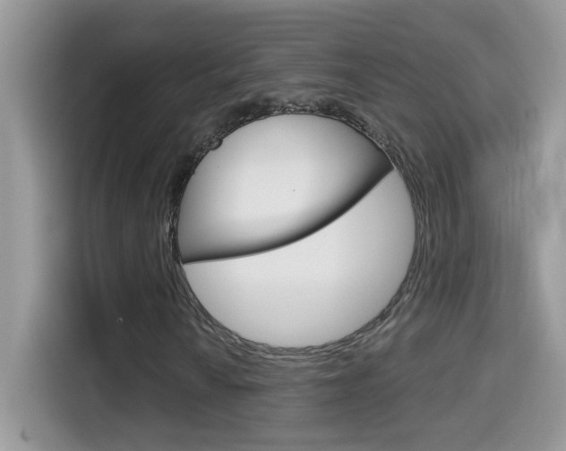 X0000114441010200910161047