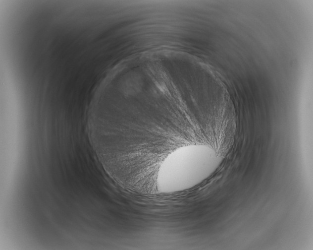 X0000114441011200910161048