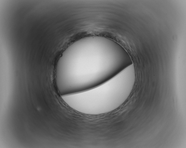 X0000114441012200910161048