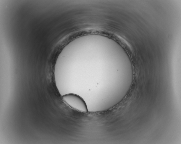 X0000114441015200910161048